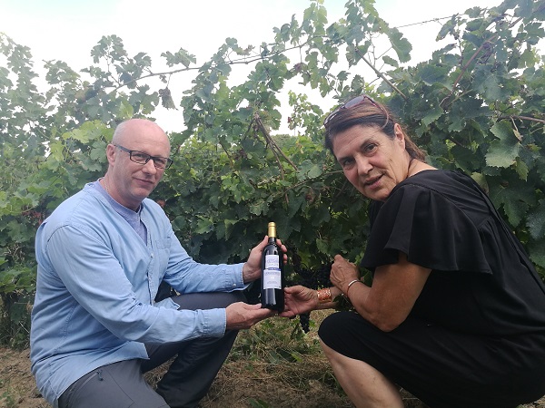 開家紅酒店選擇哪個品牌好?