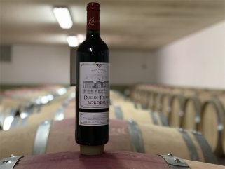 如何開一家紅酒加盟店比較好