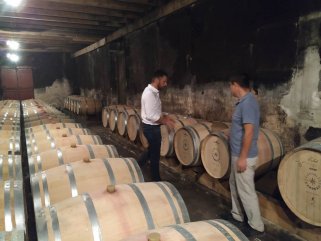 法國葡萄酒產(chǎn)區(qū)怎么樣