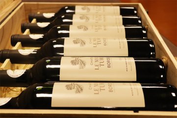 選擇哪種紅酒貨源適合