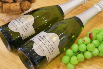 法國進口紅酒生意要多少資金支持