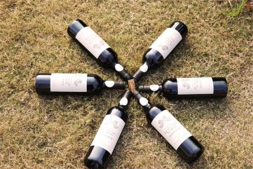 寧波做紅酒生意要多少資本